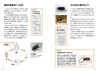 「昆虫の仕組み解剖図鑑 ～ムシたちの不思議がわかる～」より。