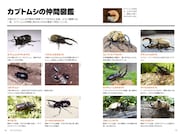 「昆虫の仕組み解剖図鑑 ～ムシたちの不思議がわかる～」より。