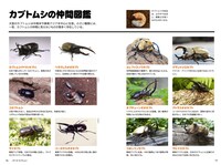 「昆虫の仕組み解剖図鑑 ～ムシたちの不思議がわかる～」より。