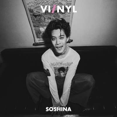 「『VI/NYL（バイ＆ナル）』#019」表紙