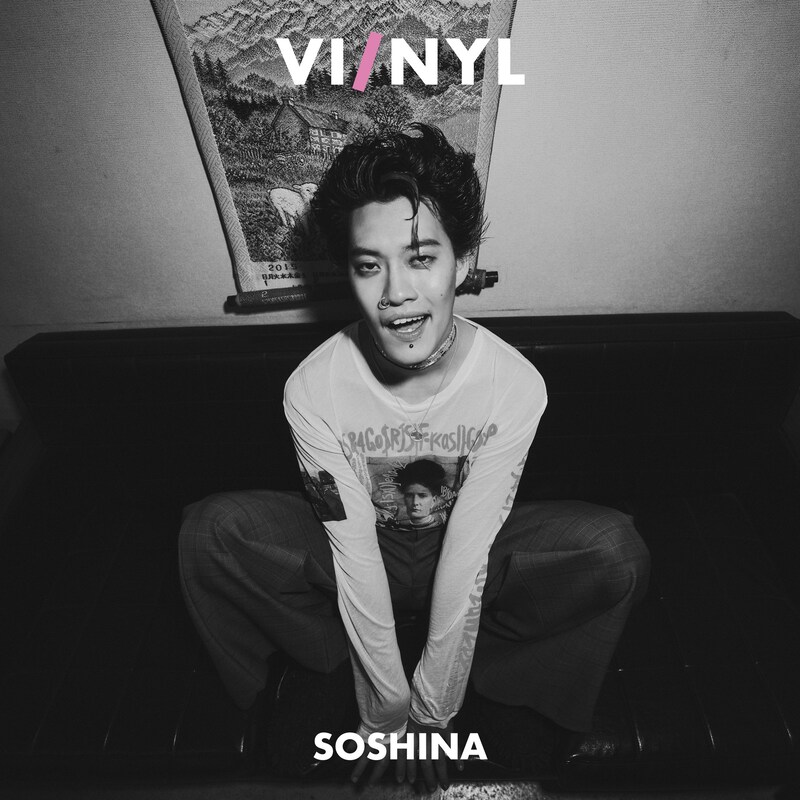 「『VI/NYL（バイ＆ナル）』#019」表紙