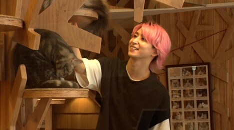 「猫の好きな音が知りたい」という佐久間大介。(c)TBS