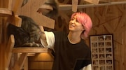 「猫の好きな音が知りたい」という佐久間大介。(c)TBS