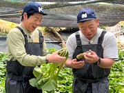 左から、今田耕司、バイきんぐ西村。(c)テレビ新広島