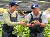 左から、今田耕司、バイきんぐ西村。(c)テレビ新広島