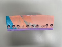 「ティッシュージケース」