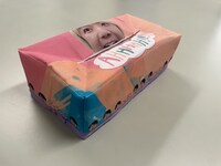 「ティッシュージケース」