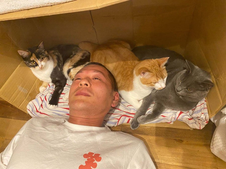 「飼ってよかった」U字工事・益子が猫への愛を語る