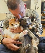 U字工事・益子と猫。