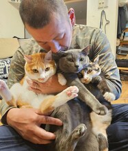 U字工事・益子と猫。