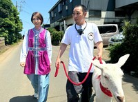 相武紗季、千鳥・大悟、ポポ。(c)テレビ東京