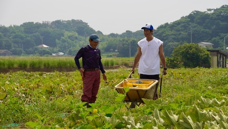 かぼちゃの収穫作業を体験するパンサー尾形。