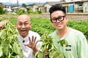錦鯉・長谷川が枝豆畑へ「誰が枝豆の親分だよ」