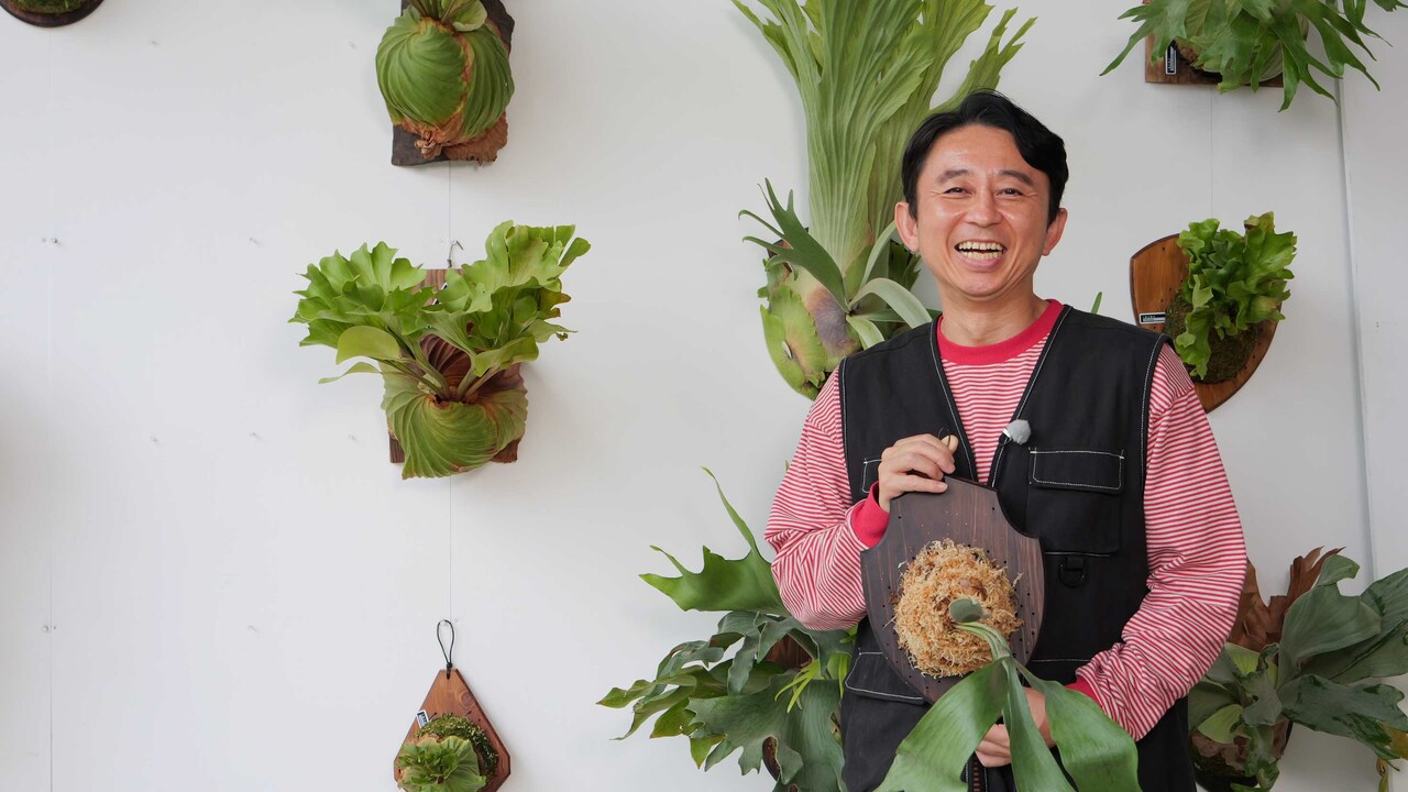 有吉弘行の園芸番組がレギュラー化「植物にまつわる疑問があればぜひ番組までお寄せください」