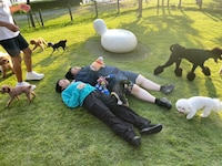 ヨネダ2000 (c)日本テレビ