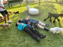 ヨネダ2000 (c)日本テレビ