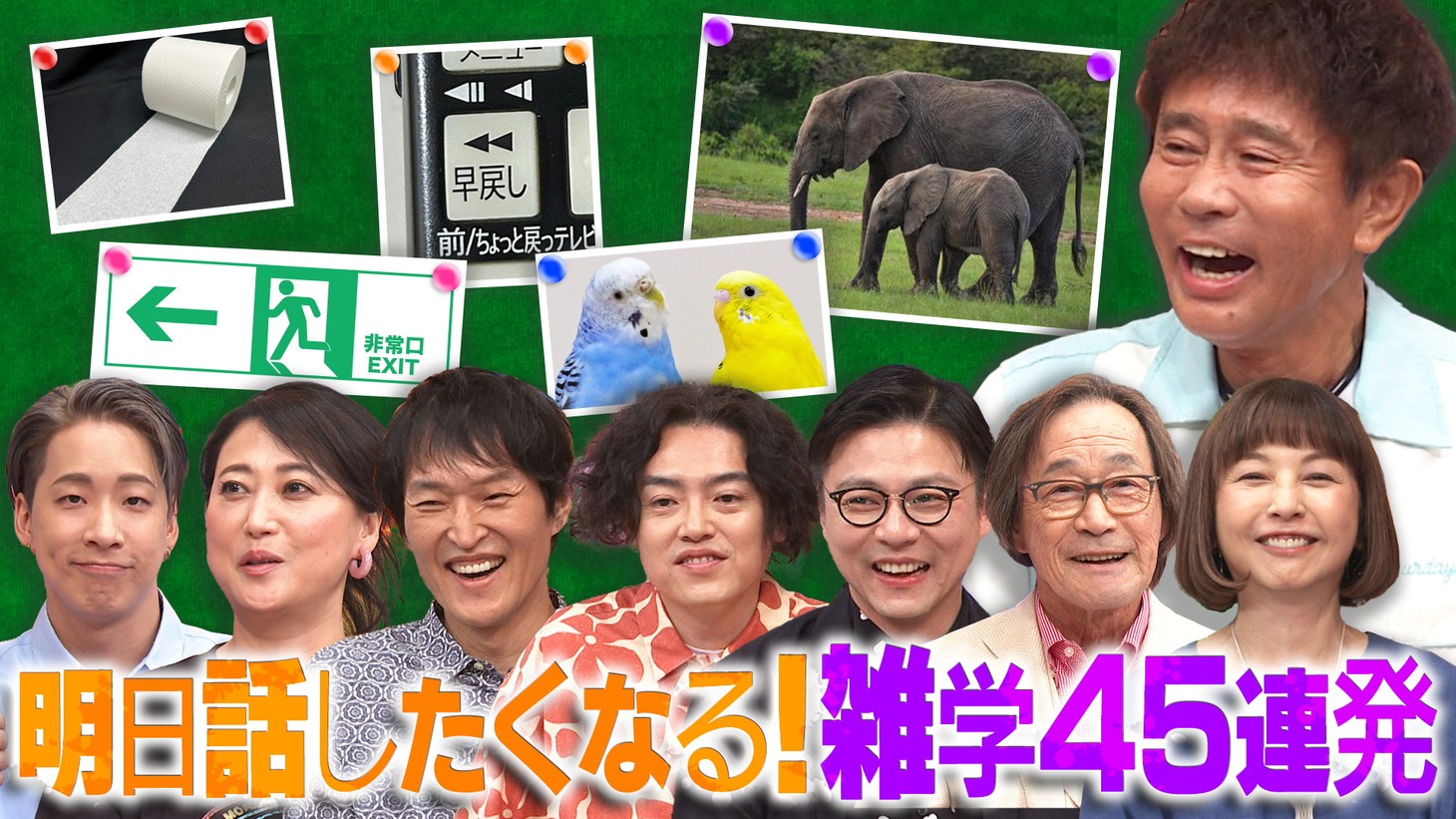 「ダウンタウンDX」イメージ (c)読売テレビ