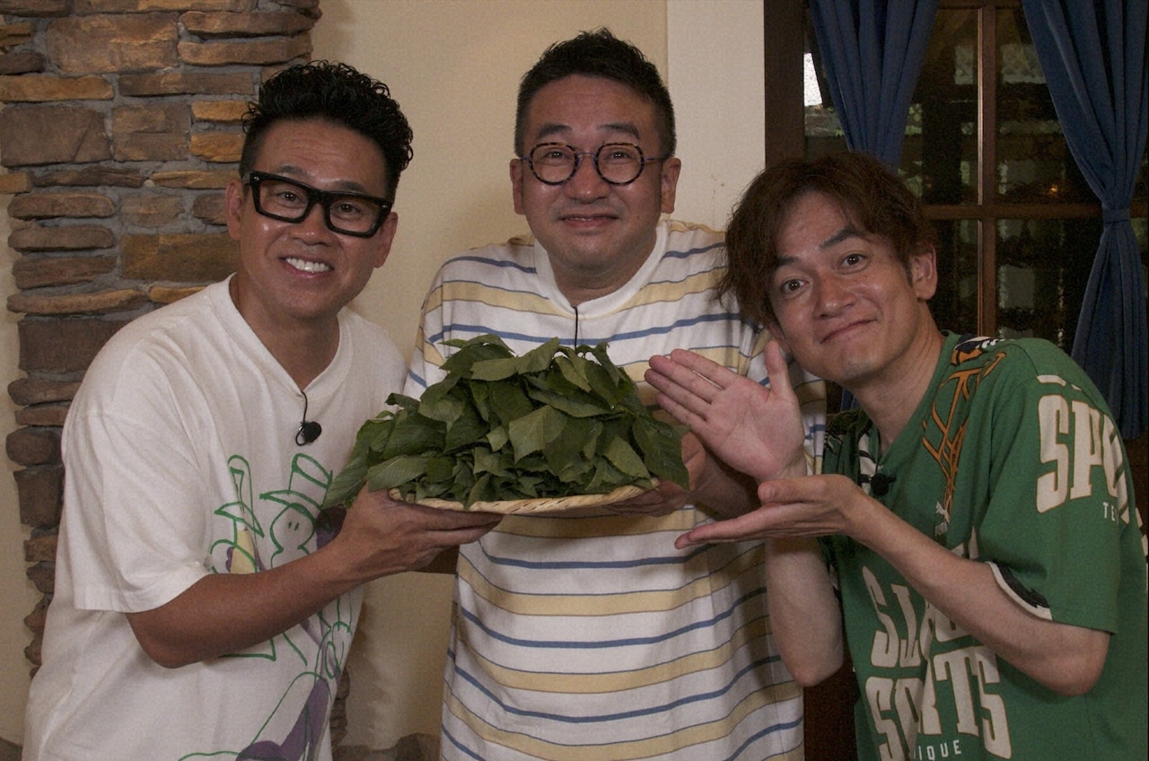 なすなかにし、モロヘイヤで夏バテを吹き飛ばせ