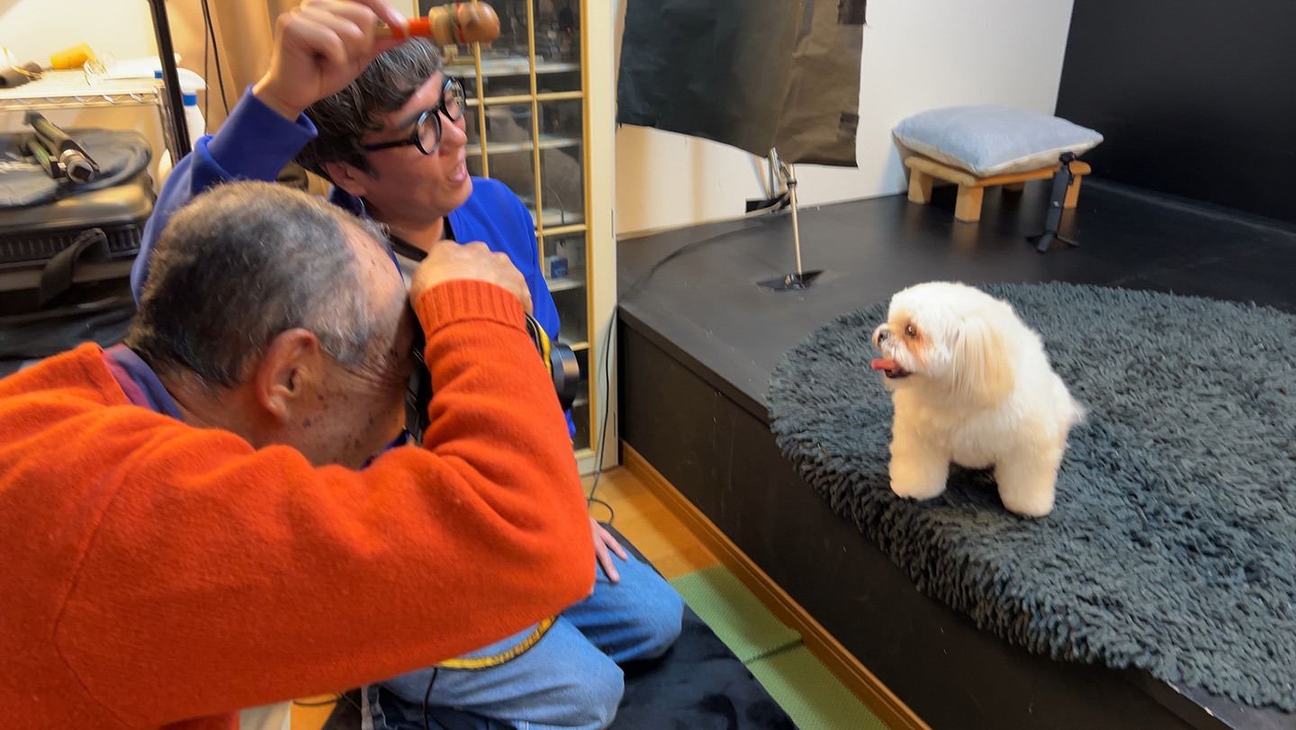 写真撮影に臨むおぎやはぎ小木の愛犬・アンダスタン。(c)BS-TBS