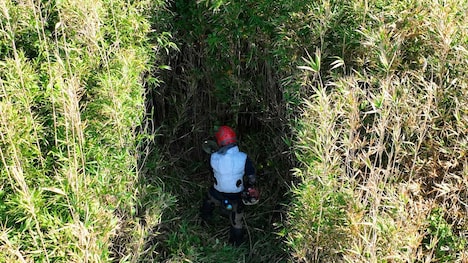 「ドローンで見にいく謎の島」のワンシーン。(c)ABCテレビ