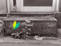 「トマソンを愛でる」(c)テレビ東京