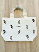 あぁ～しらきの新グッズ「ミニあぁ～しらき総柄ランチバッグ」。