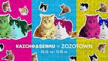 さらば青春の光の愛猫・会長と専務xZOZOTOWN。
