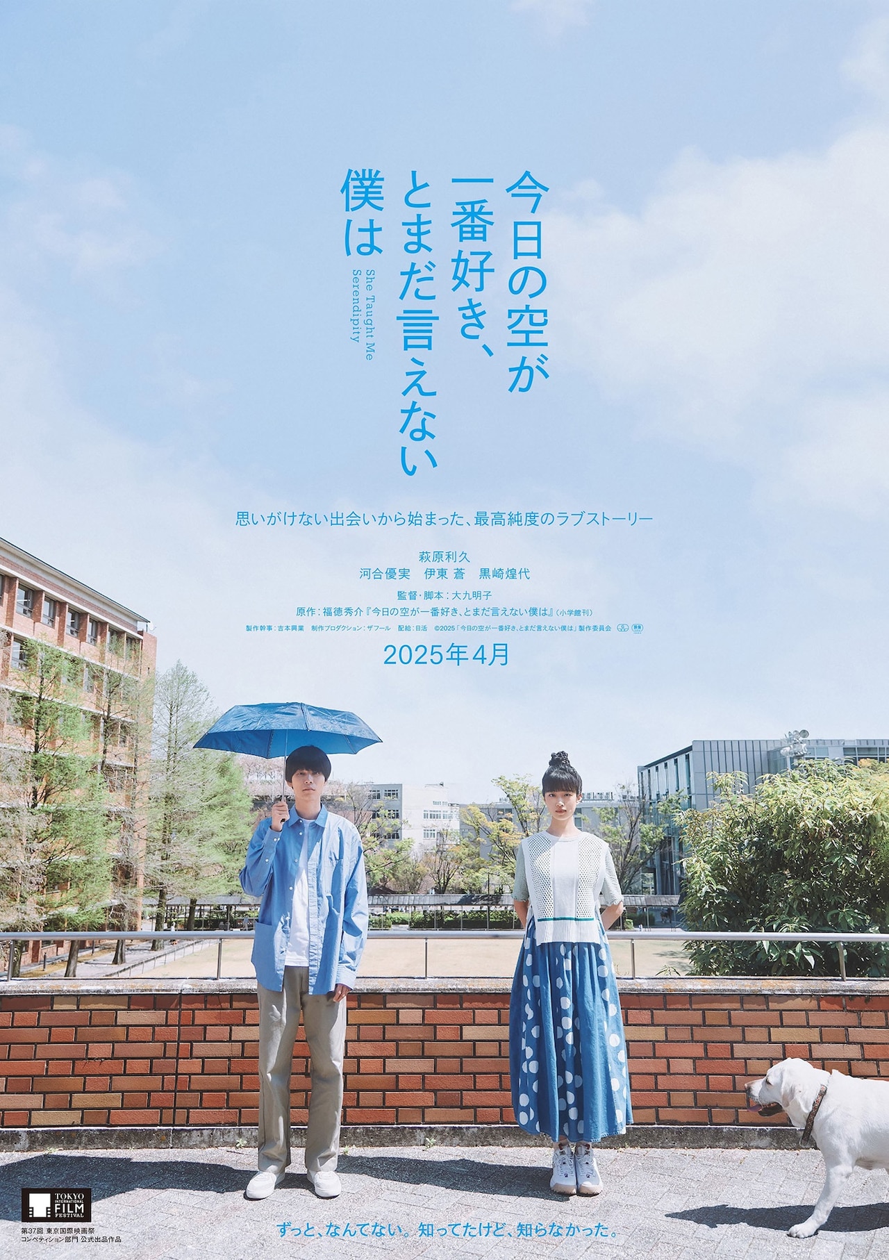 映画 今日の空が一番好き、とまだ言えない僕は B1ポスター 両面印刷 映画 今日の空が一番好き、とまだ言えない僕は B1ポスター 両面