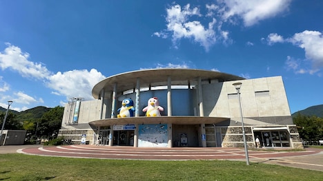 男性ブランコ平井が訪れる長崎ペンギン水族館