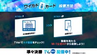 「M-1グランプリ2024」ワイルドカードのイメージ