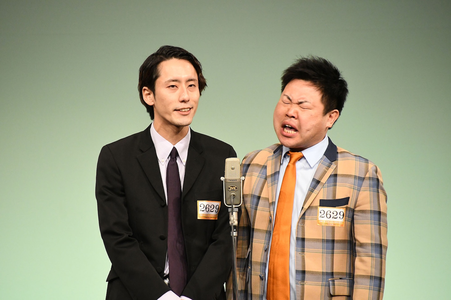 ひつじねいり