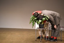 草に顔を入れるにぼしいわし