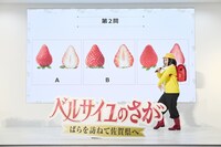 「ベルサイユのさがーばらを訪ねて佐賀県へー」記者発表会の様子