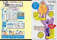 花粉（加藤諒）対紫外線（レイザーラモンHG）