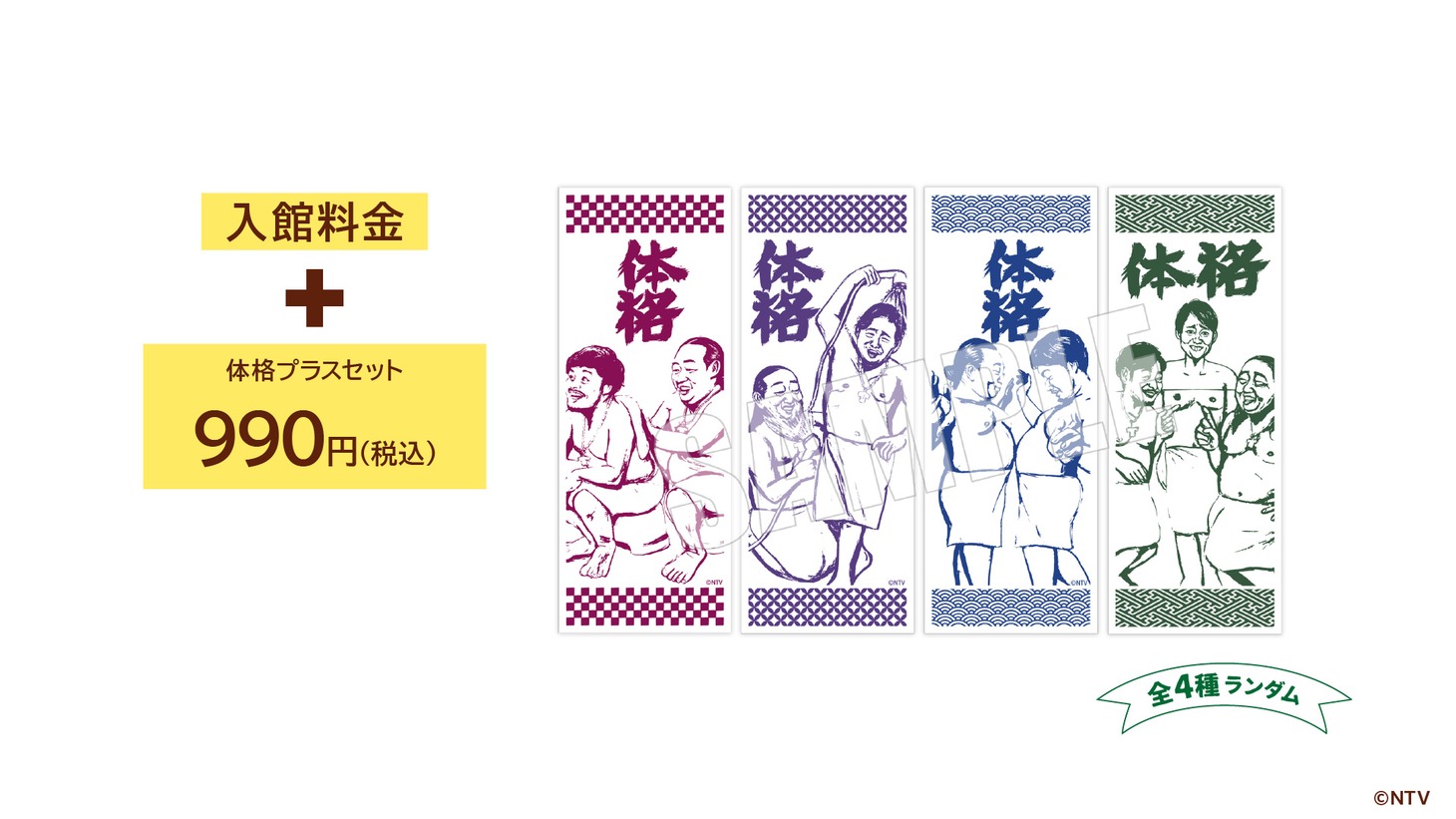 「体格プラスセット」イメージ