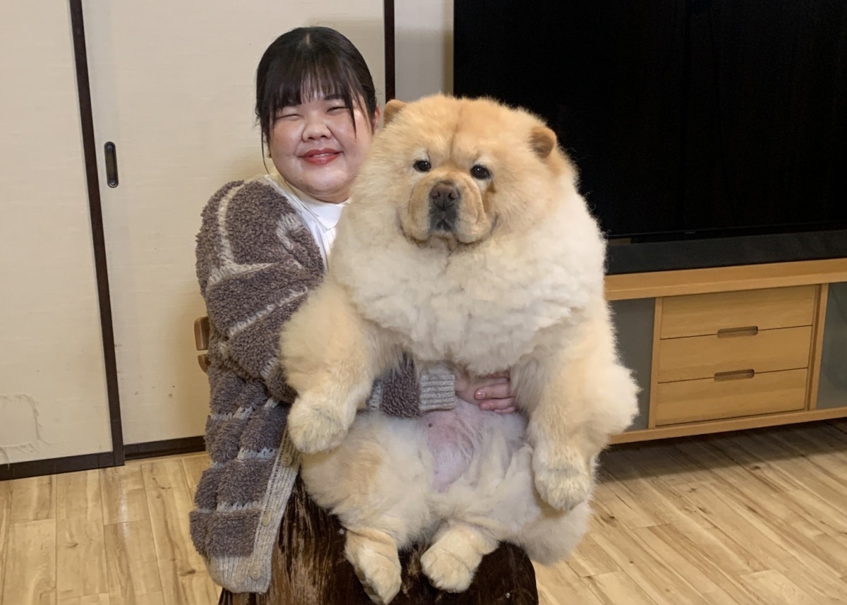 ぼる塾あんり、チャウチャウを励ましながらチャレンジ動画撮影