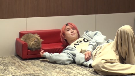 猫をマッサージで気持ちよく眠らせる企画に登場する佐久間大介（Snow Man）