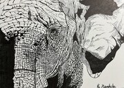 素敵じゃないか柏木の展示会「心を込めていっぱい動物を描きました」