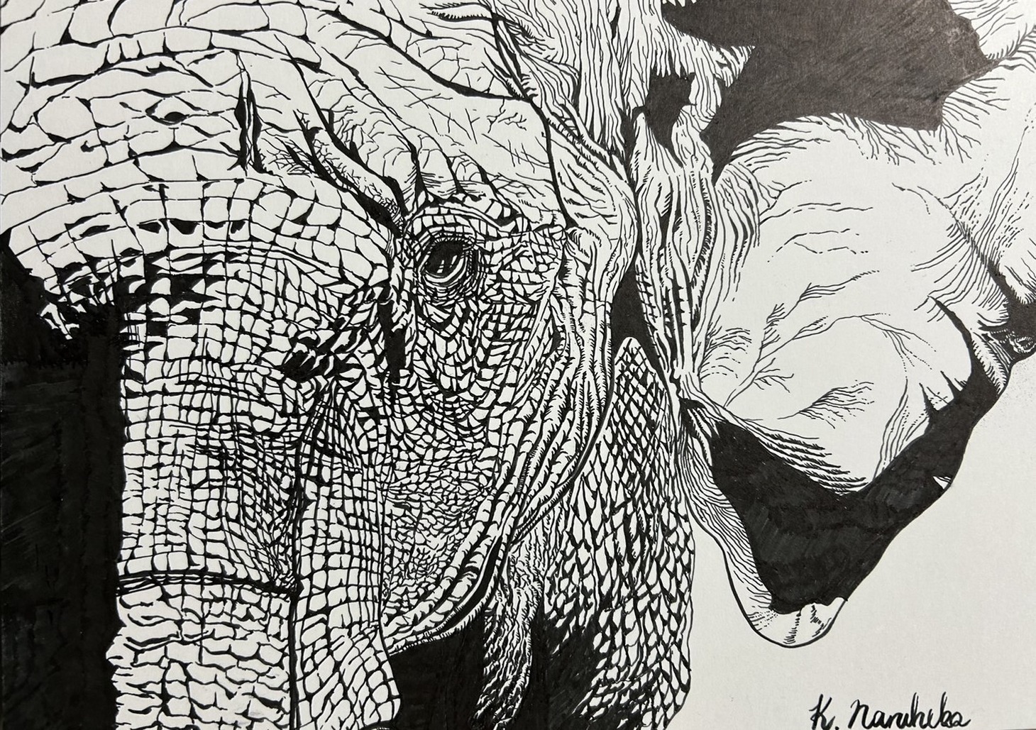 素敵じゃないか柏木が描いたイラスト