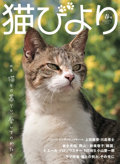 「猫びより」2025年春号の表紙