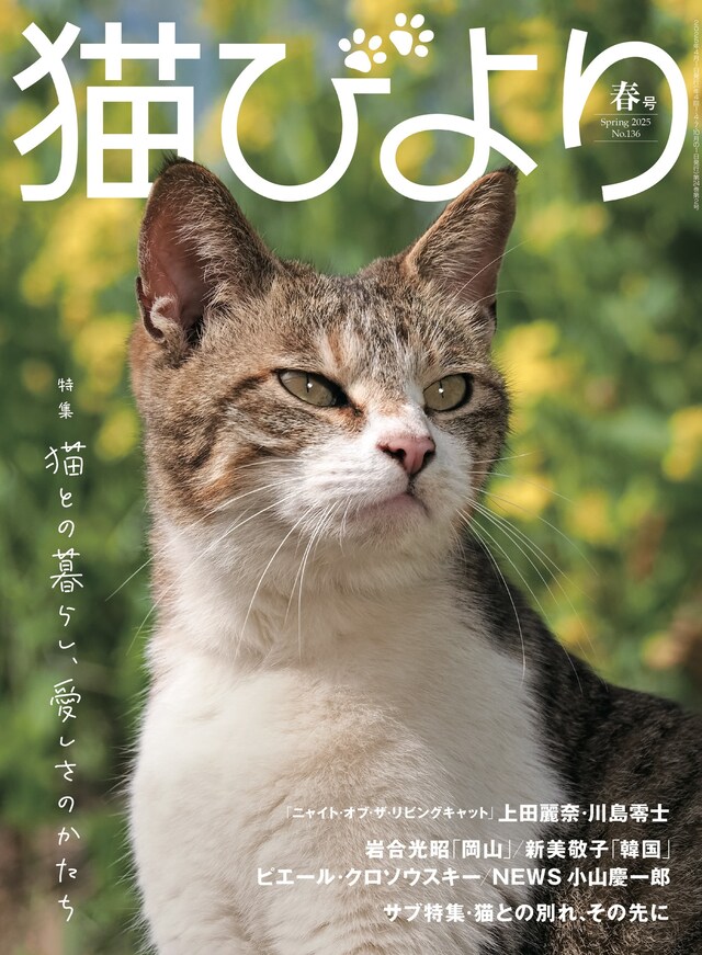 「猫びより」2025年春号の表紙