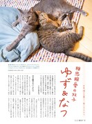 「猫びより」2025年春号より