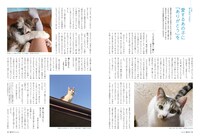 「猫びより」2025年春号より