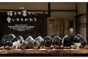 「猫びより」2025年春号より