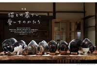 「猫びより」2025年春号より