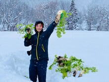 野菜を収穫するソラシド本坊