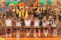 「ハチミツ!!」のワンシーン