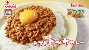 WebCM「カレーにトマト！やんなきゃもったいねぇ！」のワンシーン