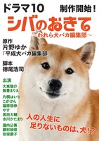 ドラマ10「シバのおきて ～われら犬バカ編集部～」ビジュアル ©NHK