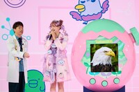 鳥のワシの画像にも「ワシやないかい！」とツッコむ陣内智則